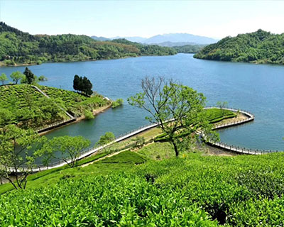 金寨西茶谷主题公园究竟有多美！