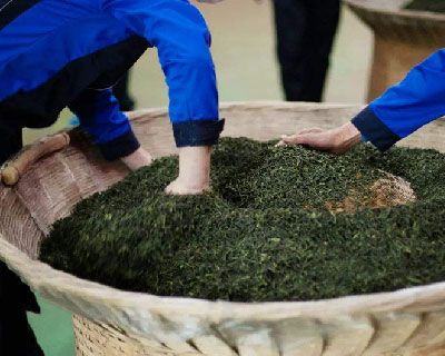 为您介绍纯手工六安瓜片炒制过程