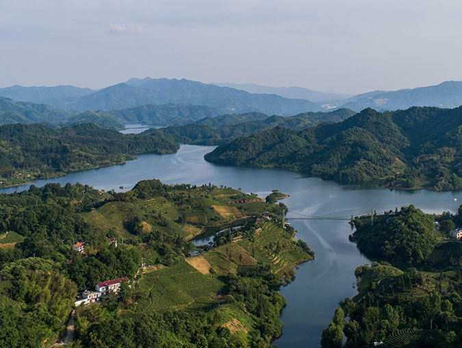 领略西茶谷风光--金寨县油坊店乡面冲村！