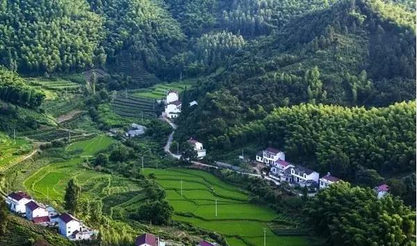 逐梦青山绿水间——走进金寨县油坊店乡面冲村